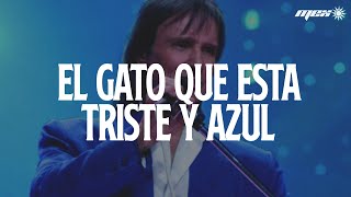 Roberto Carlos - Un Gato en la Oscuridad (Letra) EL GATO QUE ESTA TRISTE Y AZUL