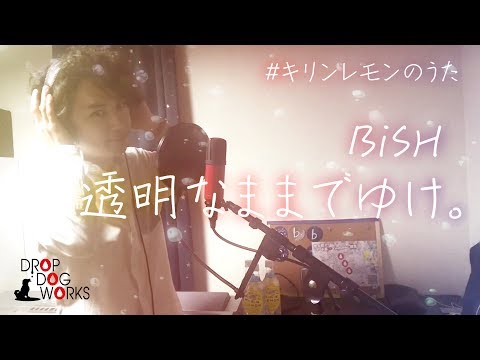 透明なままでゆけ。＃キリンレモンのうた bbbcat
