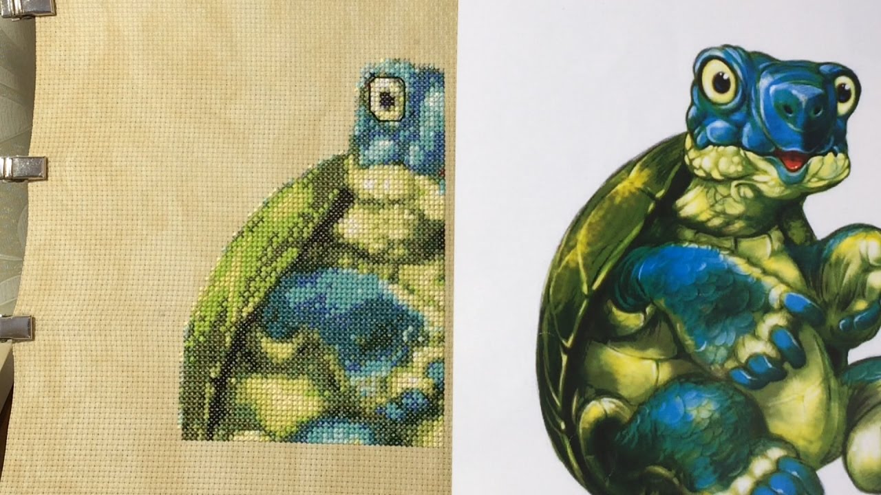 Веселая Черепашка Отчет №1 - YouTube