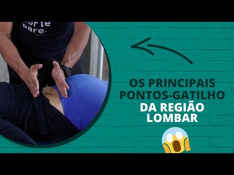Os principais pontos