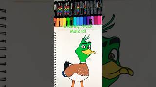Draw Mack Mallard With Us