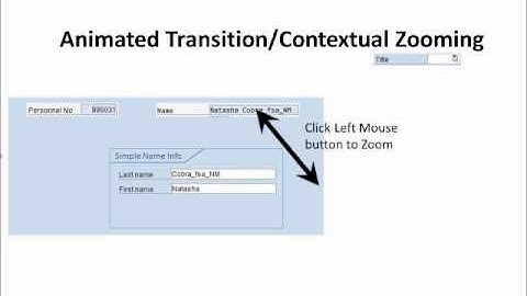 Next Generation HCM UI Design - Contexual Zooming