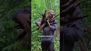 ახალი ვიდეო