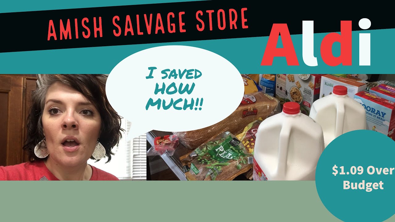 Weekly Grocery Haul || Salvage Store || Aldi Haul
