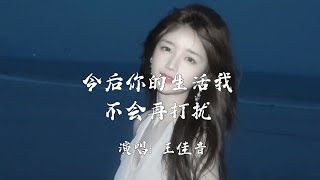 王佳音 - 今后你的生活我不会再打扰 (抖音热播版) Jin Hou Ni De Sheng Huo Wo Bu Hui Zai Da Rao『我们分开了几个冬夏，不知道你最近还好吗。』【動態歌詞】