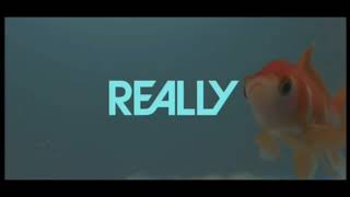 Really Tv Ident Wednesdays 2013 And 2014