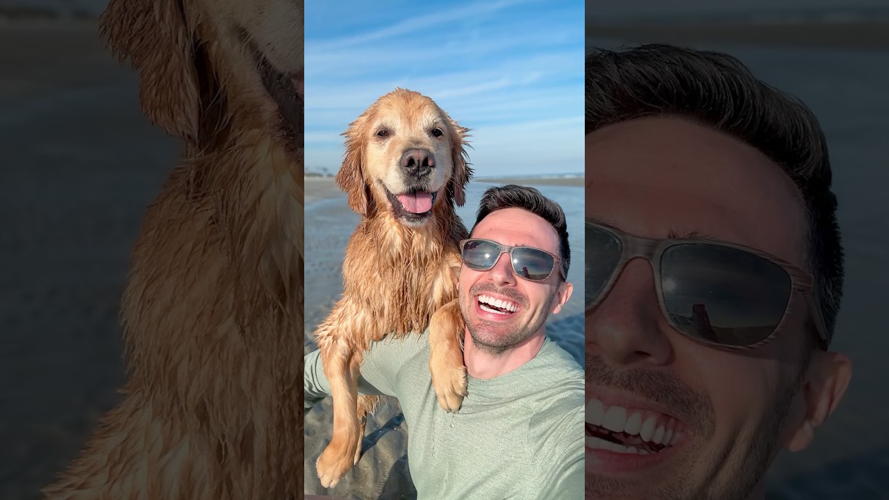 Это может быть лучшее селфи с собакой!