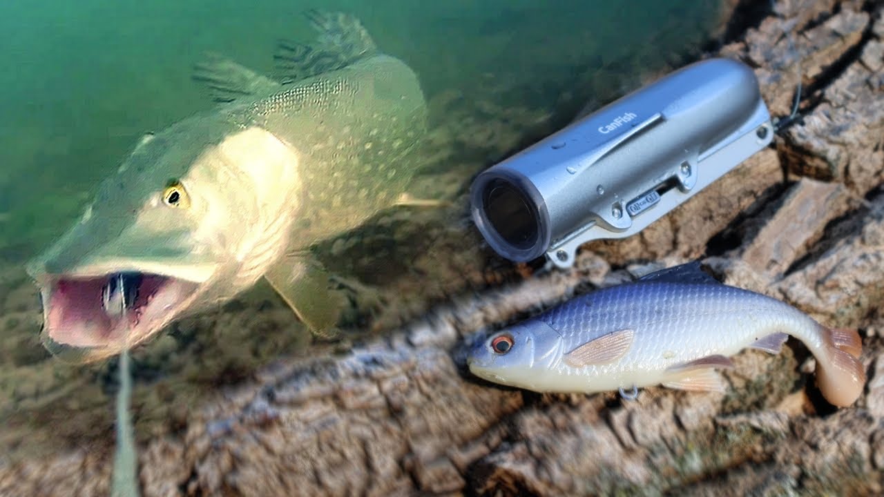 Съёмка ПОДВОДНЫХ АТАК ЩУКИ на РЕАЛИСТИЧНУЮ ПРИМАНКУ с CanFish Fishing CamX