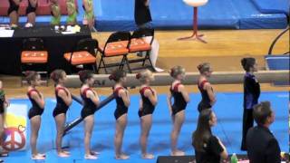 Level 3 Katie Pretty In Pink Peace Love Gym