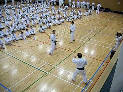 Каратэ кихон JKA