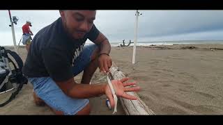 7 day fishing outing at tugela part 1