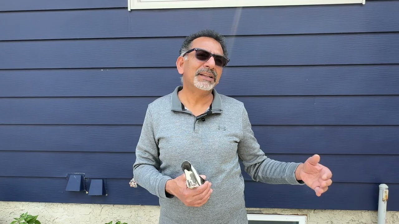 Kabootar ko baazi k liye kaise tyaar karen??