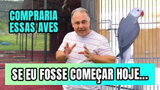 SE EU FOSSE COMEÇAR HOJE COMPRARIA ESSAS AVES PRIMEIRO