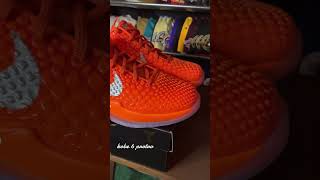 DS size 7y dm #kobe #kobebryant #kobe6 #kobeprotro #nike #nikes #basketball #sneakers