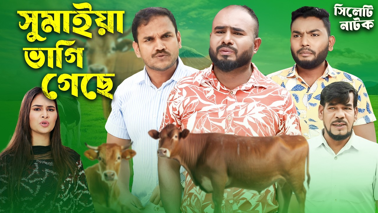 সুমাইয়া ভাগি গেছে 😱 | Sumaiya Bhagi Geche | Sylheti Natok | Sylheti Borno