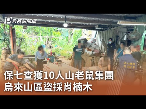 保七查獲10人山老鼠集團 烏來山區盜採肖楠木｜20230724 公視中晝新聞