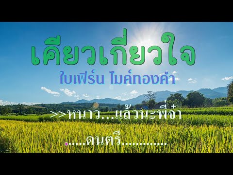 ♬เคียวเกี่ยวใจ (เต็มเพลง) ใบเฟิร์น ไมค์ทองคำ #karaoke #คาราโอเกะ