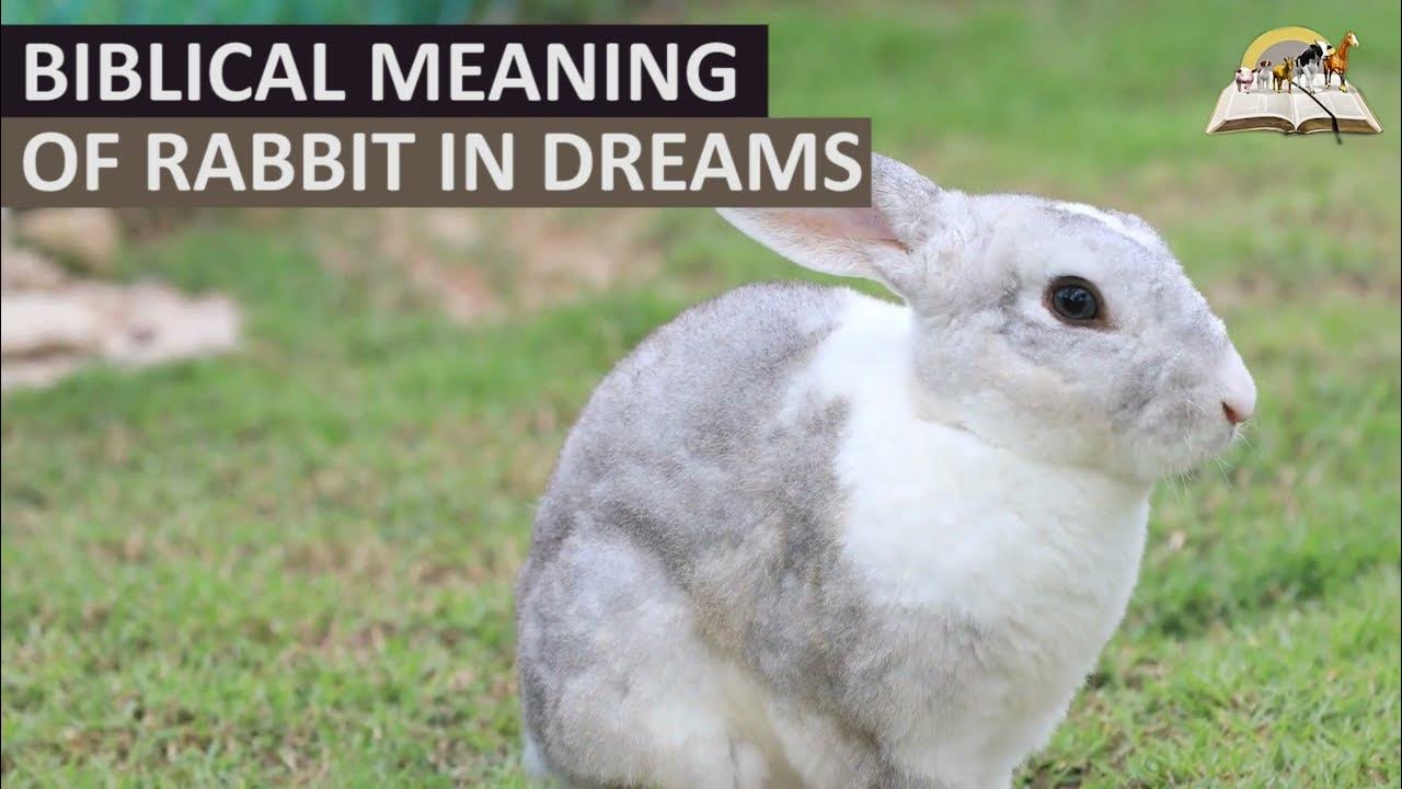 Biblical Meaning of RABBIT in Dream Spiritual Meaning of Rabbits (Hare) YouTube