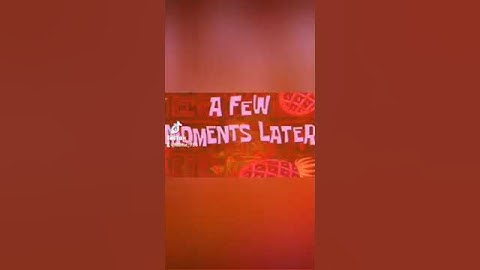 When you cats had to much catnip #comedyvideo #funnyhumor #laugh #viralvideo #cats #fypyoutube