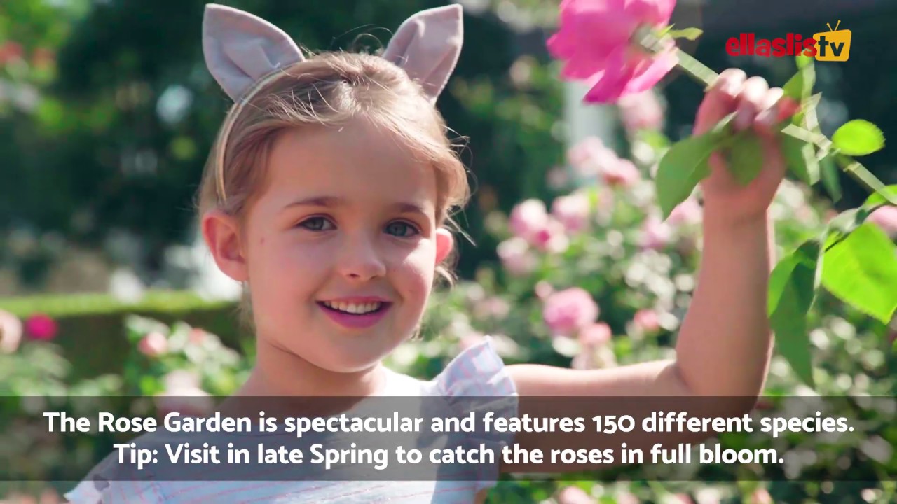 The Amazing Hunter Valley Gardens!!