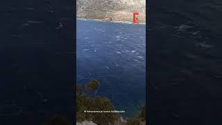 Eντυπωσιακό θέαμα στην Κάλυμνο: Φάλαινα εμφανίστηκε στον κόλπο των Αργινώντων