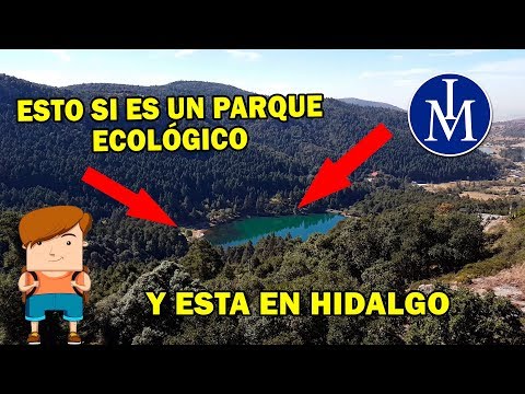 ¿sabes como llegar al  Parque ecologico el Cedral en Hidalgo?