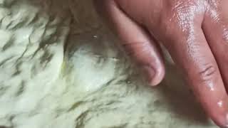 פיצה דטרוייט