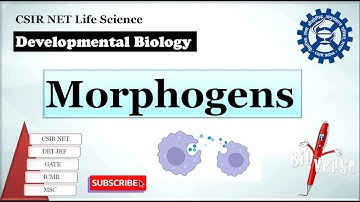 Morphogens | French flag model | Morphogens in Dvelopmental biology | Paracrine factors