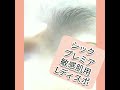 シックプレミア敏感肌用 L ディスポの使用動画です。