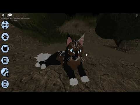 How to do all emotes in Warrior cat Ultimate addition