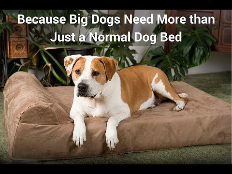 big-barker-7"-pillow-top-orthopedic-dog-bed-for-large-and-extra-large-breed-dogs