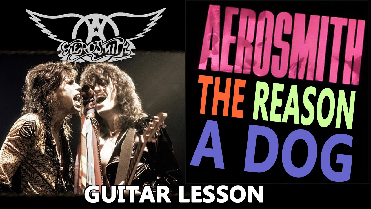 Aerosmith: "The Reason a Dog" Guitar Lesson. Plus a live sneeze captured on YouTube.
