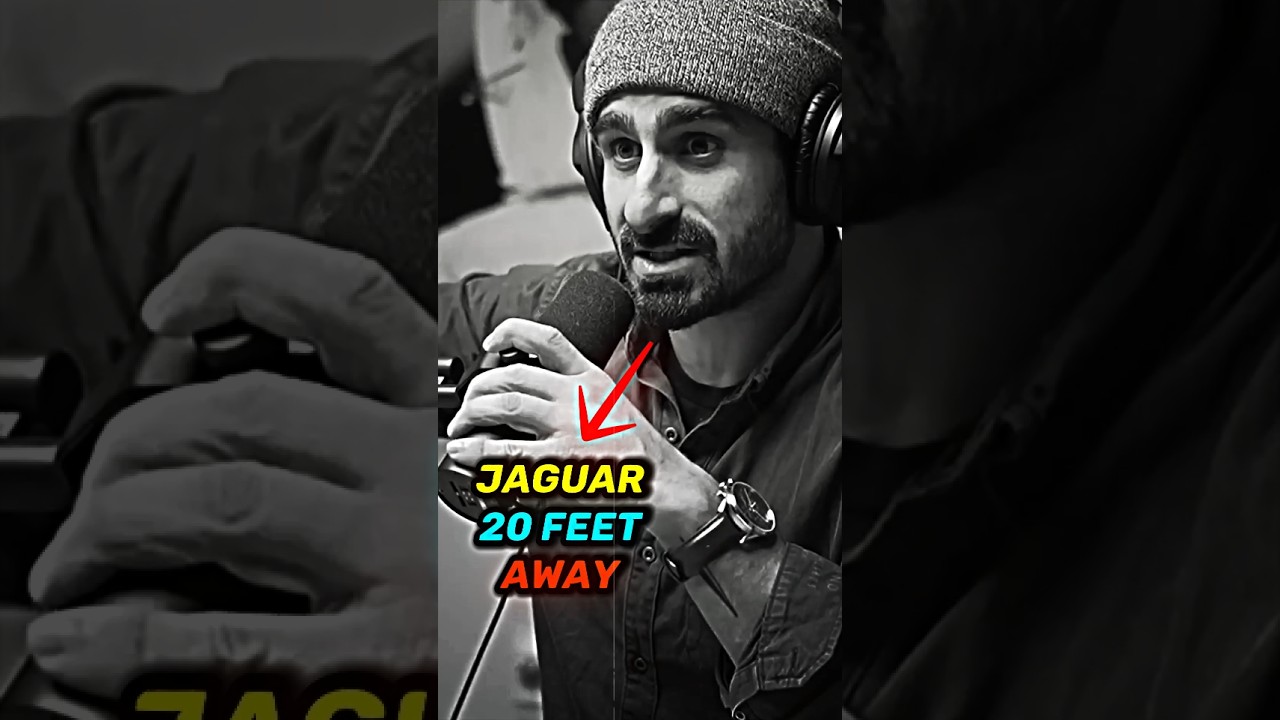 Jaguar Came 20 Feet Away From Us