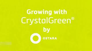 Growing With Crystal Green - A Win For Yield