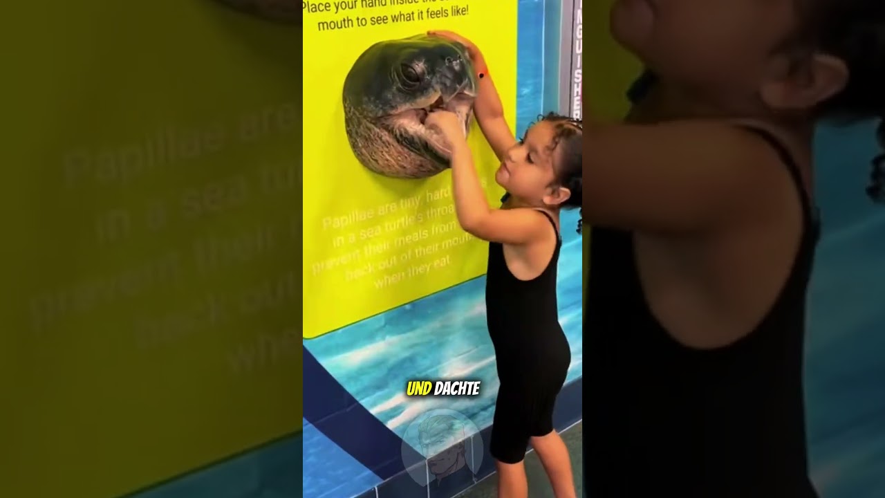 Steck niemals deine Hand in dieses Schildkrötenmaul 😳