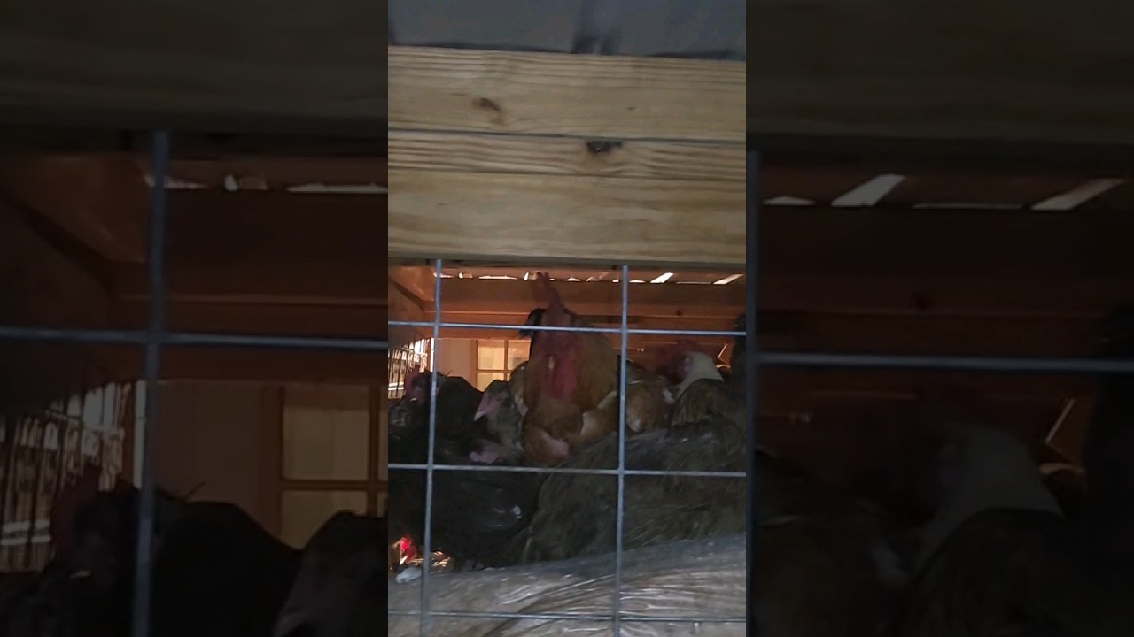 Thangs go BUMP in the NIGHT, I FOUND LIFE  !