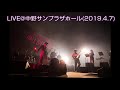 (新曲)TIMELESS TREE / Ego-Wrappin'(LIVE@2019.4.7) エゴラッピン