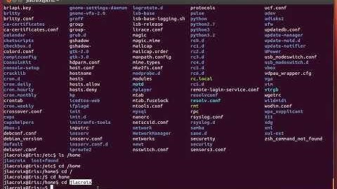 02  Linux Commands for Beginners Navigating The File System