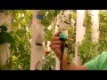 Water Delivery System for Aquaponics Grow Towers Part 3