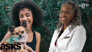 Keeping Your Pets Active & Healthy | theGrio Asks