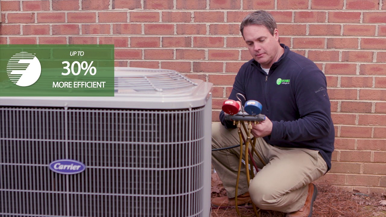 frozen protein bites