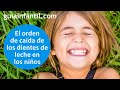 ¿En qué orden y a qué edad se caen dientes y muelas de los niños? | Cuidado dental de tu hijo