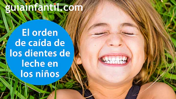 ¿Qué dientes pierden los niños?