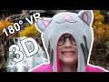 Bridal Veil Falls Waterfall in VR 180