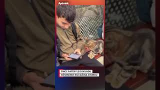 Çocuğa Partisiyle Dokunan Kedi, Güvenli Kişi Olduğunu Anlayınca Kucağına Oturdu Şfet