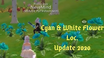 Cyan and White Flower Location 2020 I Utopia Origin