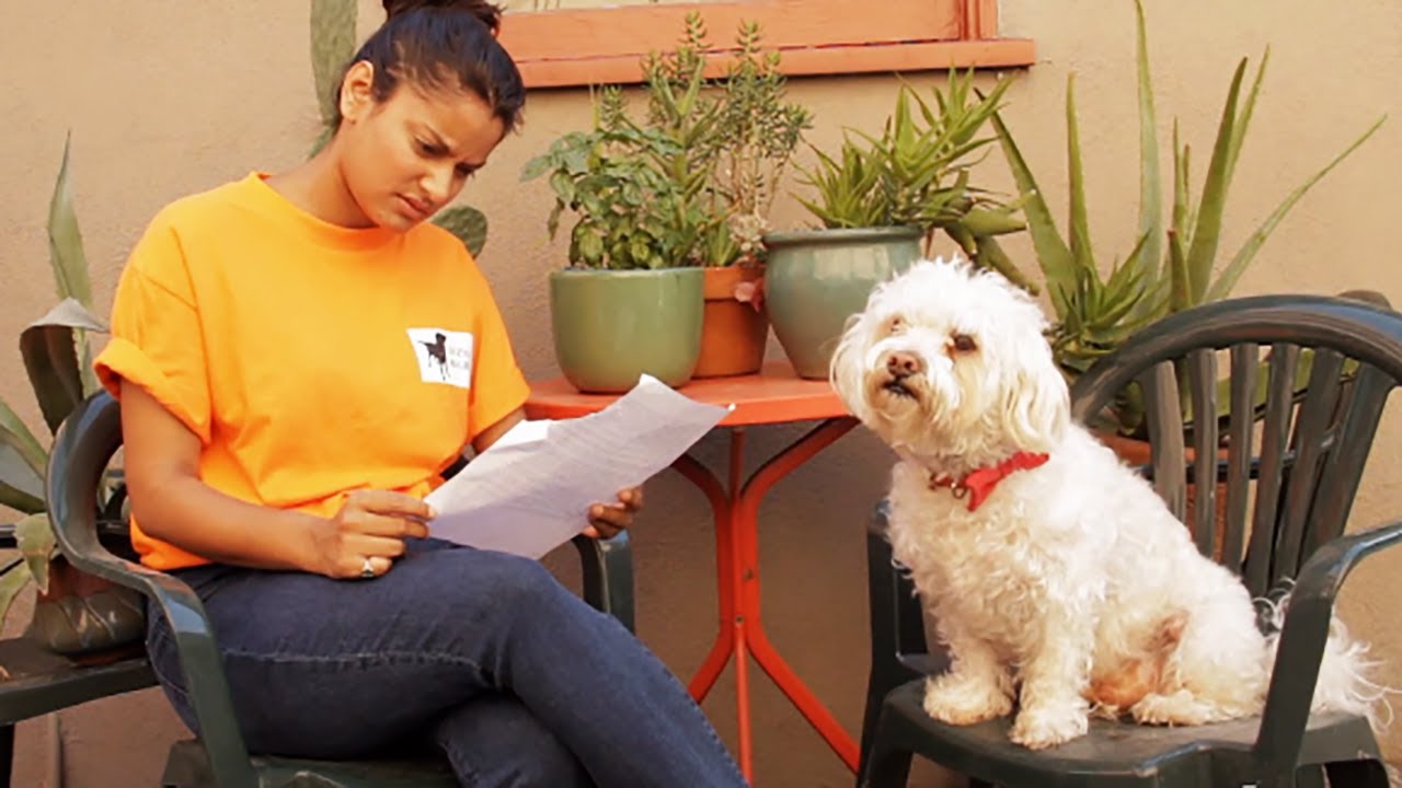 the right to vote is known as Fake Petition PRANK: Animals Should Have the Right to Vote! - CLIPBOARDS Ep. 3