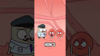 Why do some girls crave cold foods during their period?#shorts #funny #hot
