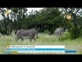 በዩኔስኮ ለማስመዝገብ …