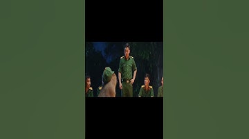 Đồng chí capy và câu chuyện học lặn #capybara #ongbavaboss #vuive